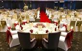 Туры в отель Olive Tree Hotel