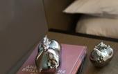 Туры в отель Renaissance Suzhou Wujiang Hotel