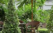 Туры в отель Hotel de Bangkok