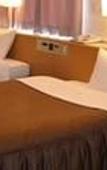 Туры в отель Southern Cross Inn Matsumoto