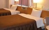 Туры в отель Southern Cross Inn Matsumoto