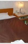 Туры в отель Southern Cross Inn Matsumoto