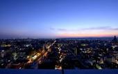 Туры в отель Hotel Nikko Oita Oasis Tower