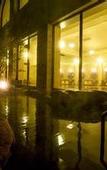 Туры в отель Hotel Okura JR Huis Ten Bosch
