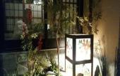 Туры в отель Dormy Inn Abashiri Natural Hot Spring