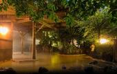 Туры в отель Oniyama Hotel