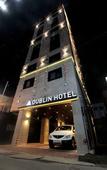 Туры в отель Dublin Hotel