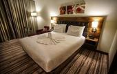 Туры в отель Hilton Garden Inn Eskisehir