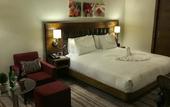 Туры в отель Hilton Garden Inn Eskisehir