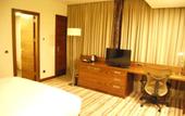 Туры в отель Hilton Garden Inn Eskisehir