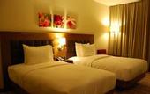 Туры в отель Hilton Garden Inn Eskisehir