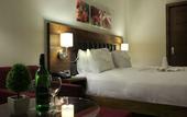 Туры в отель Hilton Garden Inn Eskisehir