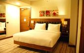 Туры в отель Hilton Garden Inn Eskisehir