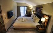 Туры в отель Hilton Garden Inn Eskisehir