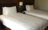Туры в отель Hilton Garden Inn Eskisehir