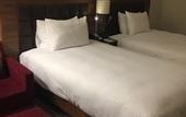 Туры в отель Hilton Garden Inn Eskisehir
