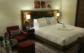 Туры в отель Hilton Garden Inn Eskisehir