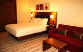 Туры в отель Hilton Garden Inn Eskisehir