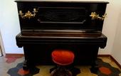 Туры в отель Hotel Villa Ciconia