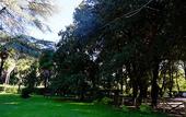 Туры в отель Hotel Villa Ciconia