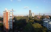Туры в отель Swiss Lenana Mount Hotel