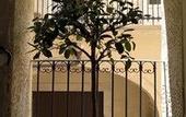 Туры в отель B&B Casa D'Alleri