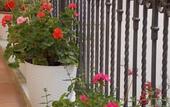 Туры в отель B&B Casa D'Alleri