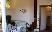 Туры в отель Hotel Okapi