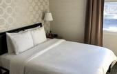 Туры в отель Hotel Mimosa