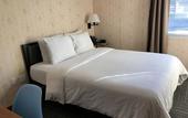 Туры в отель Hotel Mimosa