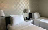 Туры в отель Hotel Mimosa