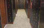 Туры в отель Hotel Mimosa