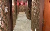 Туры в отель Hotel Mimosa