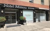 Туры в отель Hotel Mimosa
