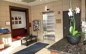 Туры в отель Hotel Mimosa