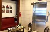 Туры в отель Hotel Mimosa