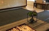 Туры в отель Hotel Mimosa