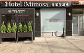 Туры в отель Hotel Mimosa