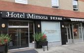 Туры в отель Hotel Mimosa