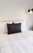 Туры в отель Gambino Hotel Cincinnati