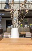 Туры в отель Hotel Schone Aussicht