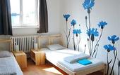 Туры в отель Patio Hostel