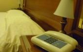 Туры в отель Hotel Minerva