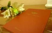 Туры в отель Hotel Minerva