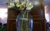 Туры в отель Hotel Minerva