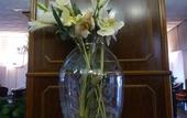 Туры в отель Hotel Minerva
