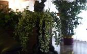 Туры в отель Hotel Minerva
