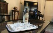 Туры в отель Hotel Minerva