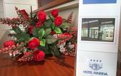 Туры в отель Hotel Minerva