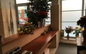 Туры в отель Hotel Minerva